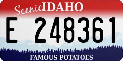 ID license plate E248361