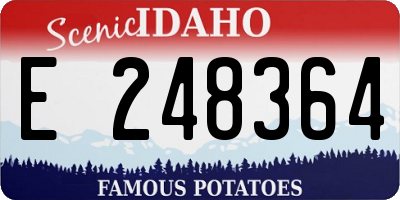 ID license plate E248364