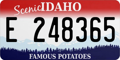 ID license plate E248365