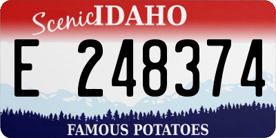 ID license plate E248374