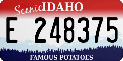 ID license plate E248375