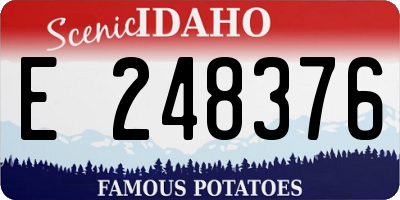 ID license plate E248376
