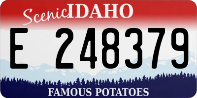 ID license plate E248379