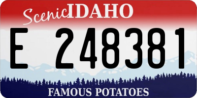 ID license plate E248381
