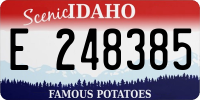 ID license plate E248385