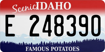 ID license plate E248390