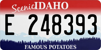 ID license plate E248393