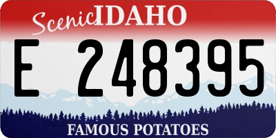 ID license plate E248395