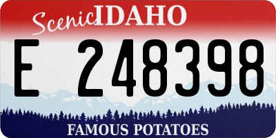 ID license plate E248398