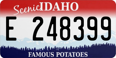 ID license plate E248399