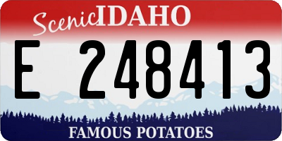 ID license plate E248413