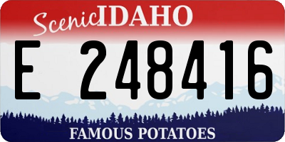 ID license plate E248416