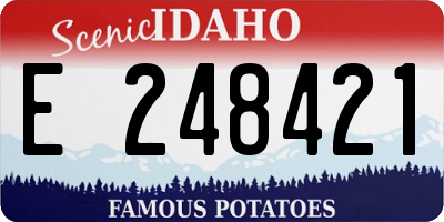 ID license plate E248421