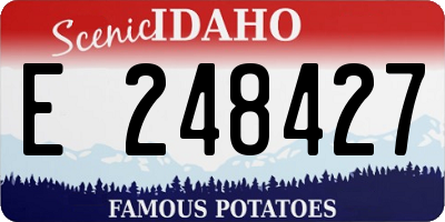 ID license plate E248427