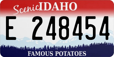 ID license plate E248454