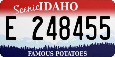 ID license plate E248455