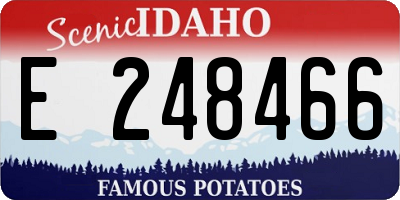 ID license plate E248466