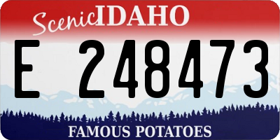 ID license plate E248473