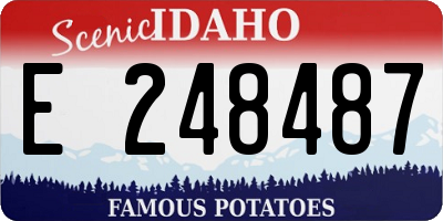 ID license plate E248487