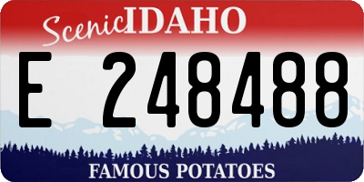 ID license plate E248488