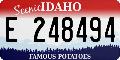 ID license plate E248494