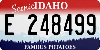 ID license plate E248499