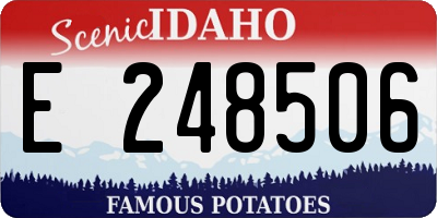 ID license plate E248506