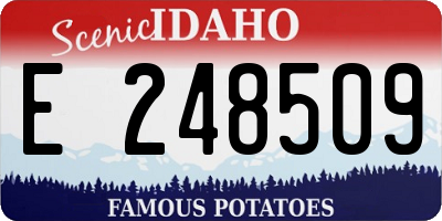 ID license plate E248509