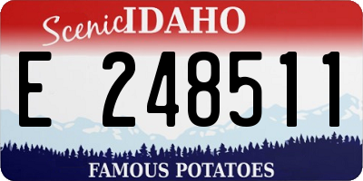 ID license plate E248511