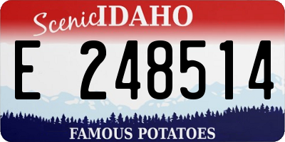 ID license plate E248514