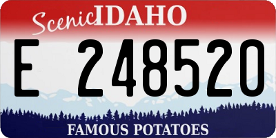 ID license plate E248520