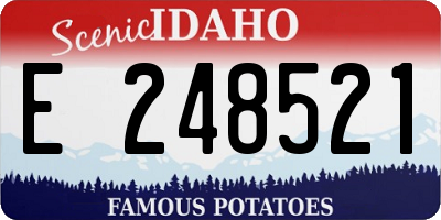 ID license plate E248521