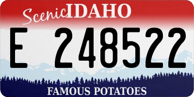 ID license plate E248522