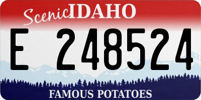 ID license plate E248524