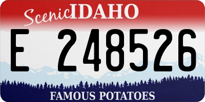 ID license plate E248526