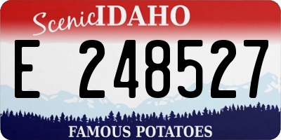ID license plate E248527