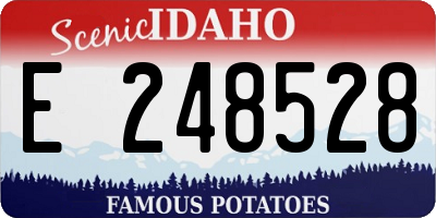 ID license plate E248528