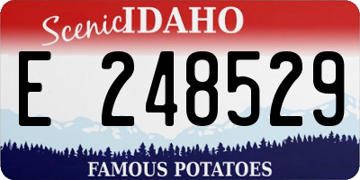ID license plate E248529