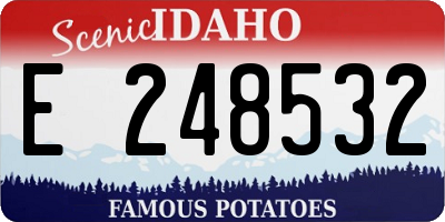 ID license plate E248532