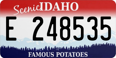 ID license plate E248535