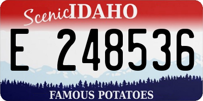 ID license plate E248536
