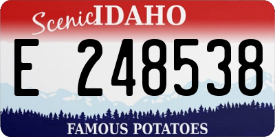 ID license plate E248538