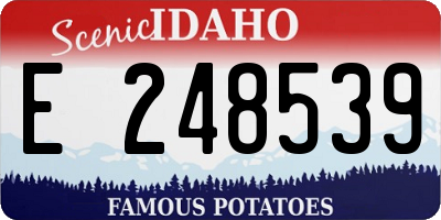 ID license plate E248539