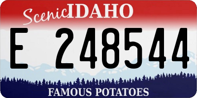 ID license plate E248544