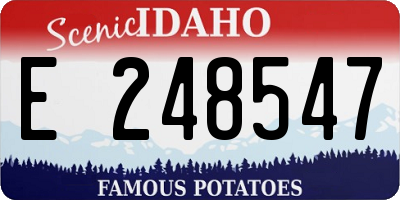ID license plate E248547