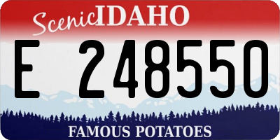 ID license plate E248550