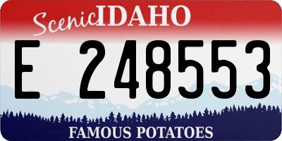 ID license plate E248553
