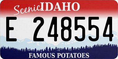 ID license plate E248554