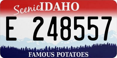 ID license plate E248557