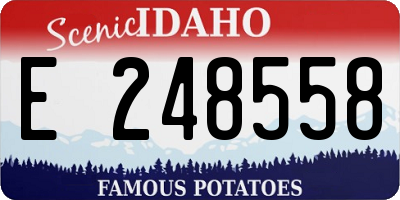 ID license plate E248558